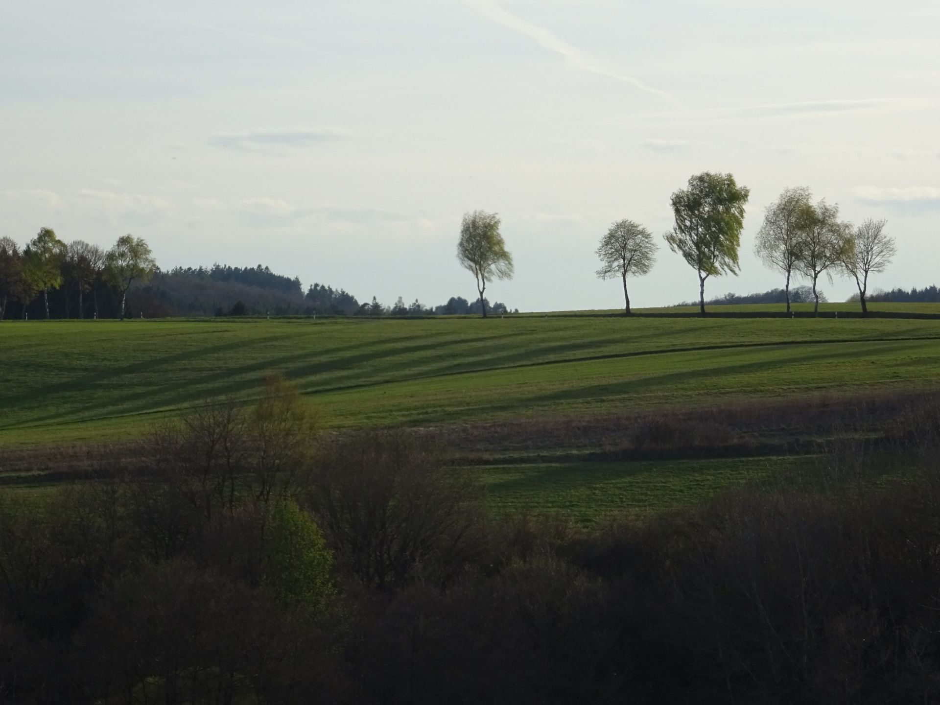 DSC01514.jpg